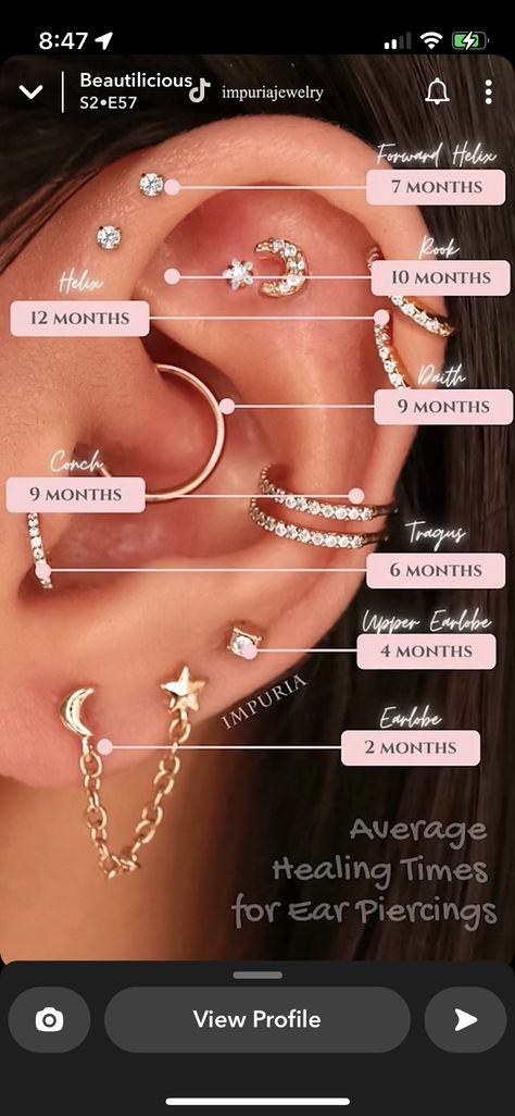 Places To Get Your Ear Pierced, Different Ear Piercings Names, Earrings Placement Ideas, Earring Names Chart, Types Of Ear Piercings Chart Names, Ear Piercing Chart With Names, Ear Piercing Diagram Charts, Ear Pierce Chart, Eat Piecing Ideas