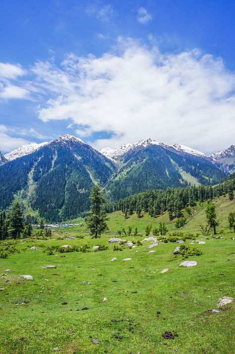 Guide to Aru Valley in Himalaya Aru Valley, Pahalgam Kashmir, Places To Explore, Asia Travel Guide, Photography For Beginners, South Asia, Asia Travel, Plan Your Trip, Mount Rainier