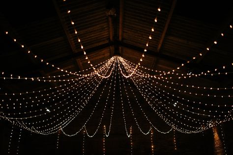 Fairy Light Canopy - Caro Weiss Photography | Rustic Barn Winter Wedding at Kinkell Byre near St Andrews in Scotland | Jenny Packham Esme Gown | Navy No. 1 Jenny Packham Bridesmaid Dresses | Groom in Kilt Winter Wedding Backdrop, Wood Backdrop Wedding, Fairy Light Canopy, Gown Bridesmaid Dresses, Christmas Stage Design, Reception Stage Decor, Christmas Backdrops For Photography, Wedding Reception Lighting, Small Backyard Wedding