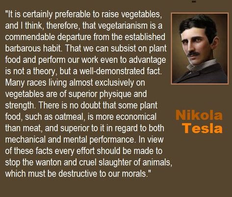 Vegetarian is the BEST diet Vegetarian Quotes, Nikola Tesla Quotes, Tesla Quotes, Nicolas Tesla, Vegan Quotes, Vegan Inspiration, Genius Quotes, Nikola Tesla, Vegan Life