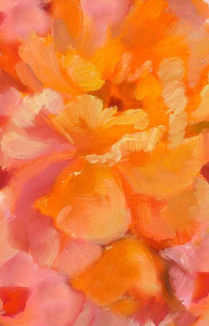 Orange Coral Aesthetic, Desert Orange Aesthetic, Vibrant Orange Aesthetic, Aesthetic Orange Pictures, Orange Vibes Aesthetic, Orange Art Aesthetic, Orange Color Aesthetic, Light Orange Aesthetic, Orange Pink Background