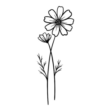 October Flower, Cosmos Tattoo, Outline Pictures, Tree Drawings Pencil, Flower Line Drawings, Flower Outline, Cosmos Flowers, Line Flower, Flower Stencil