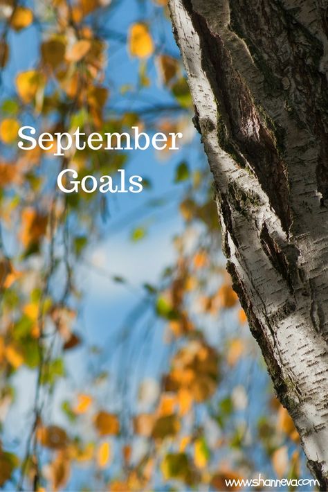 It's the first of the month, so that means it's time for my September goals. I'm… Free Goal Printables, September Goals, Gratitude Attitude, First Of The Month, Goals Printable, September Calendar, My September, City Mom, Goals Template