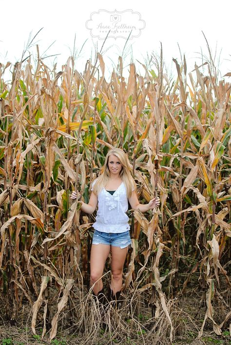 Cornfield Senior Pictures, Senior Picture With Tractor, Corn Field Photoshoot, Senior Picture Ideas Corn Field, Senior Picture Ideas Farm, Pictures In Corn Field, Senior Picture Ideas On A Farm, Senior Picture Ideas Sunflower Field, Farm Senior Pictures