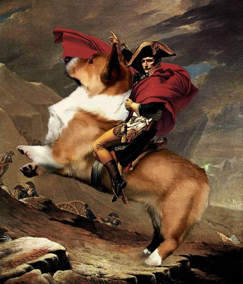 Napoleon riding a corgi Corgi Drawing, Corgi Art, Dog Jokes, Corgi Pembroke, Beware Of Dog, Corgi Butts, Lots Of Cats, Puppies And Kitties, Cute Corgi