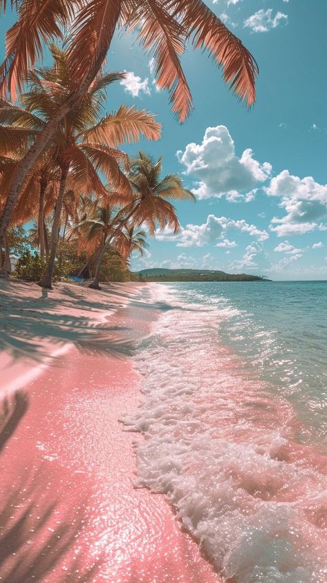 Pink Roses Background, Rosé Beach, Summer Beach Wallpaper, Summer Beach Pictures, Ocean Art Painting, Photo Rose, Crazy Wallpaper, Trending Pins, Cute Flower Wallpapers