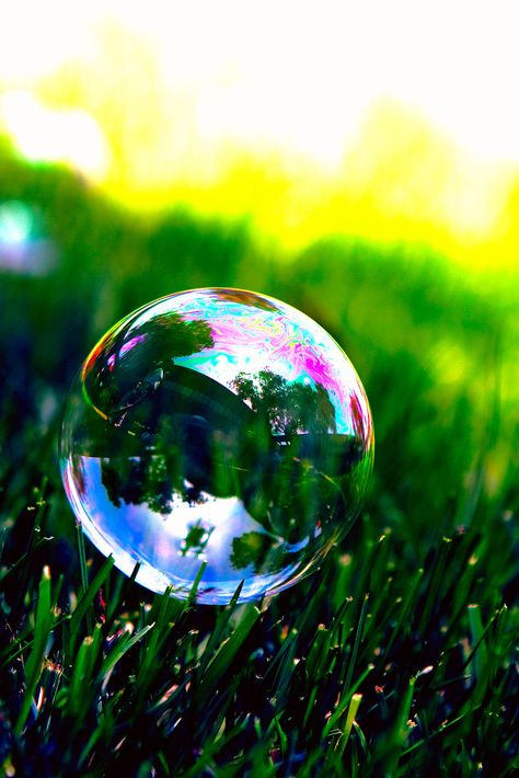 Bubbles Photography, Bubble Blower, Bubble Pictures, Bubble Bubble, Nature Music, Bubble Art, Blowing Bubbles, Soap Bubbles, Watering Globe