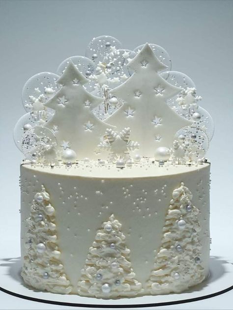 Winter Torte, Xmas Cakes, Wedding Cake Tree, Torte Creative, Winter Wonderland Cake, Christmas Themed Cake, Snowflake Cake, Christmas Cake Designs, New Year's Cake