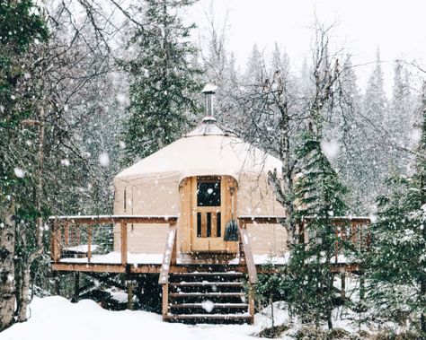 forrestmankins:Home for a few nights in Alaska. Yurt Interior Ideas, Yurt Sauna, Winter Cabins, Yurt Interior, Luxury Yurt, Mongolian Yurt, Yurt Home, Yurt Living, Mountains Photo