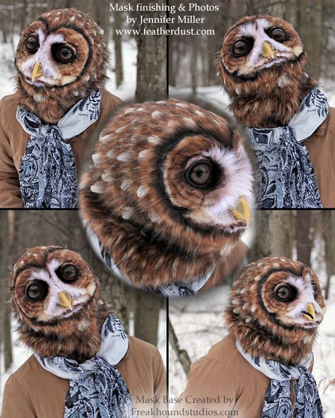 Masks | Featherdust Studio Owl Fursuit, Fursona Species, Bird Fursuit, Fairytale Costume, Northern Spotted Owl, Parrot Costume, Fursuit Ideas, Fur Suits, Spotted Owl