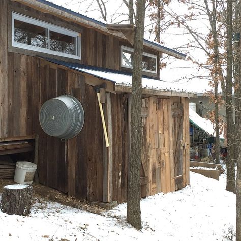 When finding your ideal homestead land, consider building codes.  Our tiny house nestles into a woodlot, giving us shade, wind break, and fuel for our woodstove. | Homestead Honey Homestead Land, Emergency Prepardness, Wind Break, Building Code, Off Grid, At Last, Tiny House, Front Door, Fuel