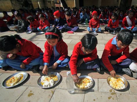 Children eat a free lunch at a government school near Jammu, India.  Ch First Term, Weight For Height, Rise Against, Four Kids, School Food, Family Health, Education System, School Lunch, Health And Nutrition