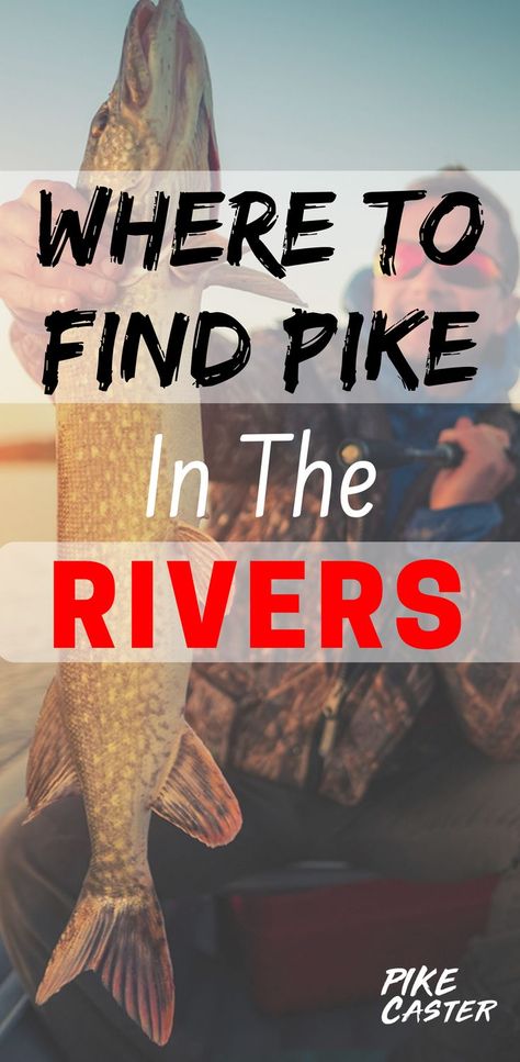 Pike Fishing Tips, Pike Fish, Drop Shot Rig, Northern Pike, Pike Flies, Trout Fishing Tips, Fly Fishing Tips, Pike Fishing, Fishing Diy