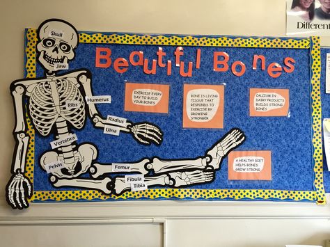 Radiology Bulletin Board Ideas, Anatomy Bulletin Board Ideas, Doctor Office Bulletin Board Ideas, Skeleton Bulletin Board Ideas, Physical Therapy Bulletin Board Ideas, Nursing Bulletin Board Ideas, Skeleton Bulletin Board, School Nurse Door Decoration, Nurse Door Decorations