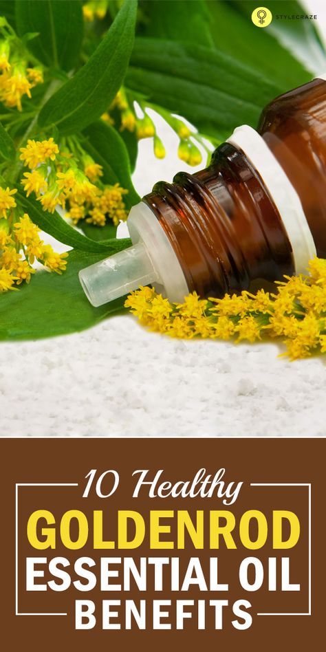 10 Healthy Goldenrod Essential Oil Benefits Goldenrod Essential Oil Young Living, Goldenrod Essential Oil, Essential Oil Spray Recipes, Diy Essential Oil Recipes, Essential Oils 101, Essential Oil Remedy, Essential Oil Spray, Essential Oils Herbs, Herbal Products