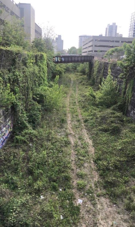 Ruined City Aesthetic, Over Grown City, Abandoned City Aesthetic, Run Down City, Urbex Aesthetic, Overgrown City, Soft Apocalypse, Apocalypse Oc, Chernobyl Today