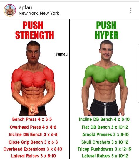 Push Strength vs Push Hypertrophy Push Pull Workout, Ectomorph Workout, Workout Man, Push Workout, Weight Training Workouts, Aerobics Workout, Chest Workouts, Planet Fitness Workout, Muscle Building