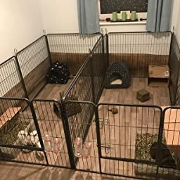 Rabbit Boarding Ideas, Garage Rabbit Enclosure, Bunny Playpen Ideas, Bunny Enclosure Indoor Rabbit Pen, Bunny X Pen, X Pen Rabbit Cage, Rabbit X Pen Setup, Rabbit Bed Diy, Bunny Play Pen Ideas