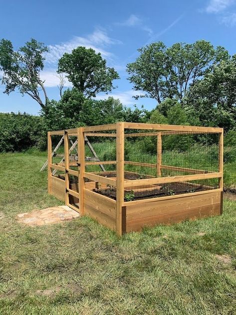 How to build a deer-proof raised bed garden using an easy “just add lumber” kit with step-by-step directions.Our new garden turned out so well, and I’m excited to share with you how to build a deer-proof raised bed garden for yourself using THIS easy “just add lumber” kit ! One of my favorite things about where we live is all the nature we get to observe.But, at the same time, I didn’t want to go to all the trouble of creating a garden only for it to become a salad bar for the… Deer Proof Garden, Cheap Raised Garden Beds, Deer Garden, Deer Proof, Raised Bed Garden, Deer Fence, Building Raised Garden Beds, Container Garden Design, Building A Raised Garden