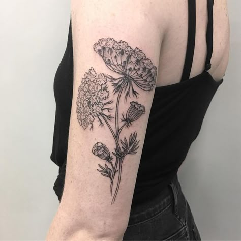 Queen Anne’s lace for @shelby_oga So great working on another project with you. And I got to learn so much about public health! I love… | Instagram Queens Anne Lace Tattoo, Queens Lace Tattoo, Queen Anne's Lace Tattoo, Lace Flower Tattoos, Tattoos 2024, Queen Anne's Lace Flowers, Mod Jewelry, Wildflower Tattoo, Elbow Tattoos