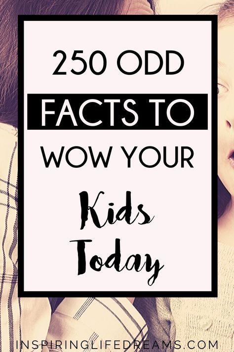 Fun Fact For Kids, Facts About Me Questions, Random Facts Mind Blowing, Weird Fun Facts, Interesting Facts For Kids, Mind Blowing Thoughts, Kids Questions, Fun Facts For Kids, Facts Funny