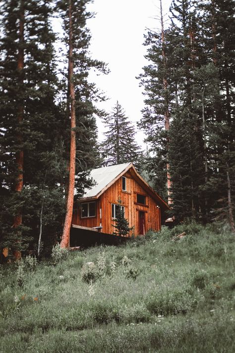 brown wooden house in the woods photo – Free Image on Unsplash Pc Wallpaper 8k, Cinematic Wallpaper, Wallpaper Cinematic, Doodle Art Wallpaper, Wallpaper 3d Hd, Cute Art Drawings, Apocalypse Landscape, Foggy Mountains, Wooden Home