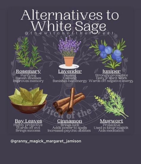 Sage In Witchcraft, Herbs For Cleansing, Burning Herbs, Herbs For Protection, Sage Benefits, Herbal Witch, Pagan Spirituality, Magickal Herbs, Traditional Witchcraft