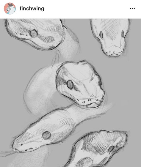 Pose Ideas Drawing, Snake Sketch, Snake Drawing, Animal Drawings Sketches, Snake Art, Creature Drawings, Arte Sketchbook, Content Warning, Animal Sketches