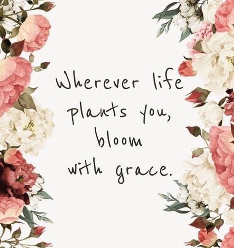 The Pear Social on Instagram: “"Wherever life plants you, bloom with grace."⁠ ⁠ Yesterday was the first day of spring 🌺 While this day was meant for excitement and joy in…” Beautiful Quotes Life, Springtime Quotes, Fresh Quotes, Bloom Quotes, Floral Quotes, Spring Quotes, Plants Quotes, Garden Quotes, Albert Einstein Quotes