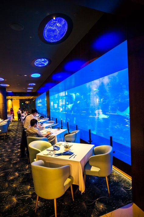 SEA Aquarium Restaurant - 7 Things You Can’t Miss at Sentosa Island Aquarium Restaurant Design, Aquarium Cafe, Mermaid Restaurant, Aquarium Restaurant, Sea Restaurant, Resturant Interior, Sentosa Island Singapore, Ocean Restaurant, Glass Restaurant