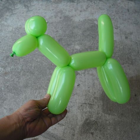 Want to Learn to Make Balloon Animals? Here's What You Need to Know Dog Balloon Animal, Types Of Balloons, Easy Balloon Animals, Dog Balloon, Yarn Animals, Transformer Party, How To Make Balloon, Grand Opening Party, Easy Animals