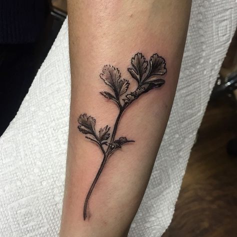 A small cilantro leaf.  @darkagetattoostudio #cap1tattoos #tattoosbycapone #caponetattoos #darkagetattoostudio Clove Flower Tattoo, Cantua Buxifolia Tattoo, Black And Grey Carnation Tattoo, Sweetpea Tattoo Black And White, Catalaya Orchid Tattoos, Time Tattoos, Life Tattoos, Simple Tattoos, Sugar Skull