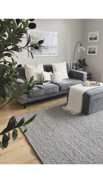 Grey Walls Oak Floors, Grey Couch Grey Carpet, Grey Sofa Dark Wood Furniture, Living Room Dark Wood Floor Grey Sofa, Brown Sofa Grey Floor, Grey Sofa Aesthetic, Grey Rug Wooden Floor, Dark Gray Flooring Living Room, Small Grey Sofa