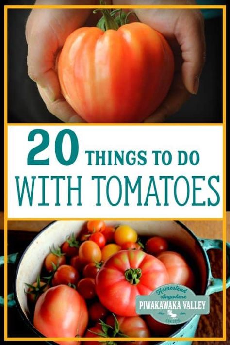 Too Many Tomatoes, Tips For Growing Tomatoes, Growing Organic Tomatoes, Growing Tomatoes In Containers, Canned Meat, Summer Harvest, Canning Tomatoes, Organic Tomatoes, Tomato Garden