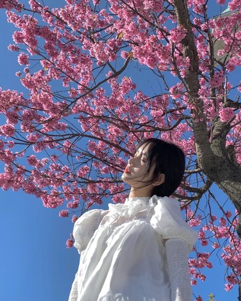 Cherry Blossom Photoshoot, Cherry Blossom Pictures, Cherry Blossom Japan, Stylish Photo Pose, My Posts, Cherry Blossom Tree, Cinematic Photography, Poses For Photos, Instagram Inspo