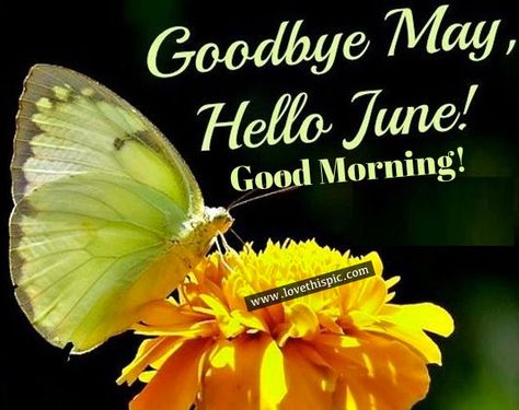 Goodbye May, Hello June! Good Morning june good morning good morning quotes june quotes goodbye may hello june Good Morning June 1st, Goodbye May Hello June, Good Morning June, Quotes Goodbye, Goodbye May, Holidays Wallpaper, June Quotes, Good Morning Facebook, Hello June