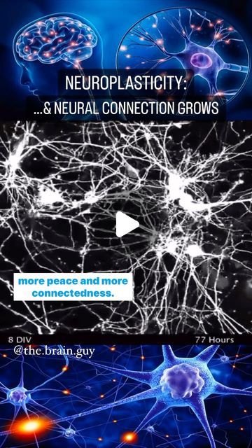 Scott Robinson FCMA on Instagram: "🧠 - Focused attention is a powerful driver of Neuroplasticity. When you hold your attention on loving thoughts, peaceful perceptions, feelings of connectedness or any other stimuli that correlate with your best life; for as long as you hold your attention on those things, you are making new neural connections that remodel the brain to give it the capacity to both perceive and maintain more love, more peace and more connectedness. 
@the.brain.guy 

Neural connections 
🎥 credit @slava__bobrov 🙏🏾
🎶 credit @tonyannnn 🙌🏾

#neuroplasticity #neuralnetworks #neural #brain #brainawarenessweek #peacewithin #peaceofmind #loveconnection #neuro #neuroscience #braintraining #perception #newconnections #miraclemindset #brainhacking" Loving Thoughts, Neural Connections, Love Thoughts, Love Connection, More Love, Love More, Brain Training, Animal Videos, Neuroscience