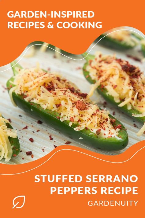 Recipes Using Serrano Peppers, Serrano Pepper Recipes Dishes, Serrano Pepper Recipes, Serrano Peppers, Pepper Recipes, Serrano Pepper, Snack Dip, Garden Recipes, Peppers Recipes