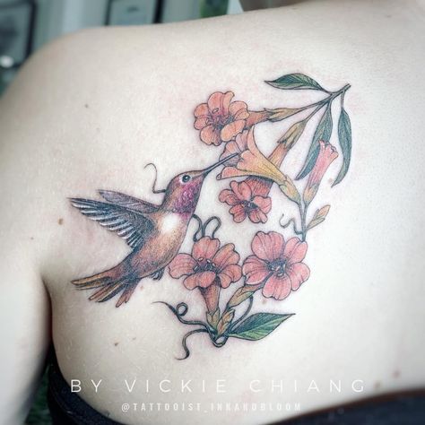 Trumpet Vine Tattoo, Hummingbird Tattoo With Vines, Hummingbird And Lilacs Tattoo, Hummingbird And Trumpet Vine Tattoo, Hummingbird And Fuschia Tattoo, Hummingbird Carrying Flower Tattoo, Raspberry Bush, Trumpet Vine, Vine Tattoos