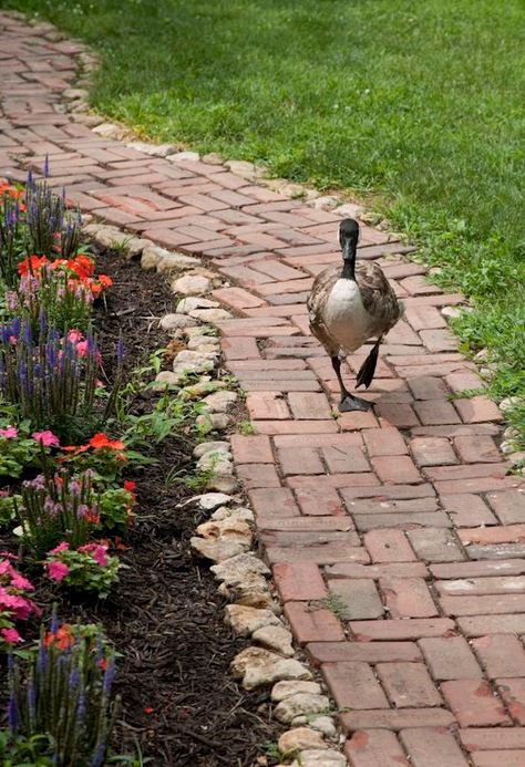 Kansas Garden, Craftsman Garden, Rock Pathways, Messy Garden, Rock Pathway, Stone Edging, Wood Walkway, Brick Pathway, Side Walk