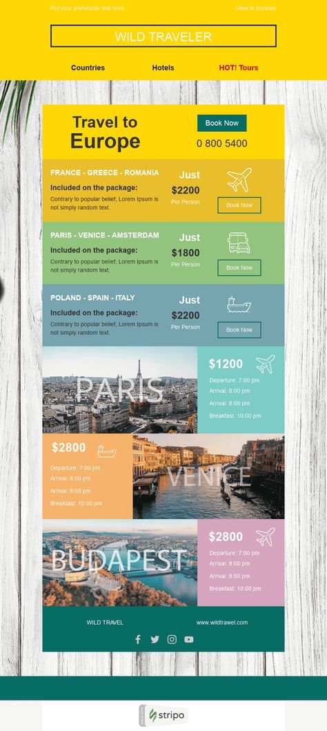 Summer Email, Promo Email, World Tourism Day, Marketing Hacks, Holiday Emails, Email Template Design, Tourism Day, Country Hotel, Email Newsletter Design