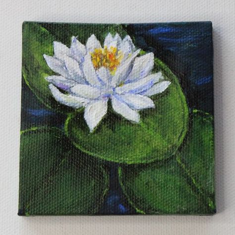 White water Lily on lily pads. Acrylic  3" x 3" painting Easy Lily Painting, Painting Ideas Lily Pad, Water Lily Painting Acrylic Easy, Water Lily Acrylic Painting, Painted Lily Pads, Lily Pad Painting, Acrylic Lilly Pad Painting, Drawing List, Canvas Art Painting Abstract