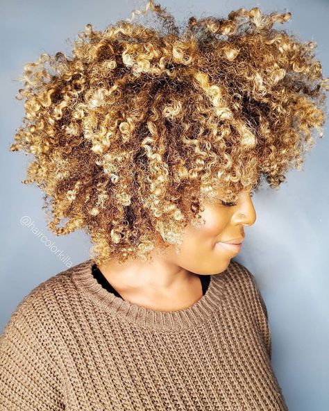 Springing into lewks @haircolorkilla 😍🔥💕 Full highlight with @redken flashlift and 10 volume, base color fusion 6n 20 volume. Wash and go with my new cant live without favorite product @moroccanoil Curl defining mousse! . Curly Blonde Hairstyles, Long Blonde Curly Hair, Natural Hair Highlights, Blond Hairstyles, Blonde Afro, Blonde Natural Hair, Hair Black Women, Highlights Curly Hair, Blonde Curly Hair