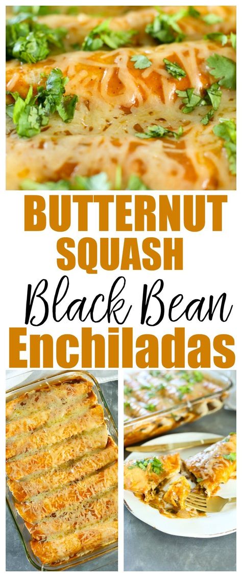 Dinner Recipe Vegetarian, Butternut Squash Recipes Healthy, Squash Black Bean, Butternut Squash Enchiladas, Butternut Squash Black Bean, Clean Eating Vegetarian, Black Bean Enchiladas, Bean Enchiladas, Enchiladas Recipe