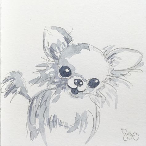 Chihuahua Drawing, Chihuahua Tattoo, Brown Chihuahua, Chihuahua Art, Art Plan, Puppy Drawing, Watercolor Beginner, Chihuahua Lover, Cute Chihuahua