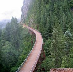 North Bend Rail Trail , WV Washington Wallpaper, Snoqualmie Washington, Holy Diver, West Virginia Travel, West Va, Winter Hike, Horse Trail, Virginia Travel, Country Roads Take Me Home