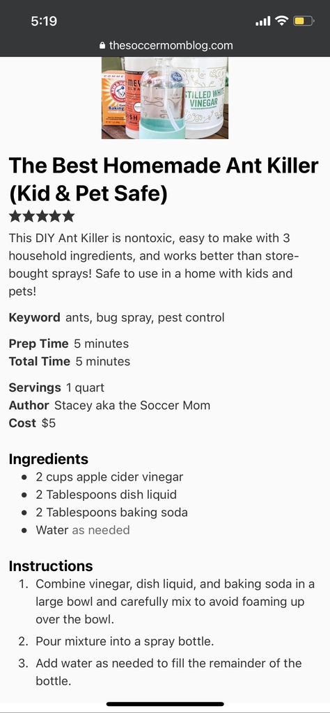 Pet Safe Ant Killer Indoor, Spiders Repellent Diy, Ant Killer Spray, Homemade Ant Killer, Repellent Diy, Spiders Repellent, Ant Repellent, Ant Killer, Bug Killer