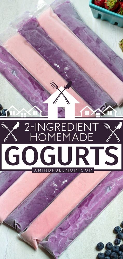 2 Ingredient Homemade Gogurts Homemade Snacks To Store, Kids Food Ideas Lunch, Silicone Mold Snacks, Fun Kid Snacks To Make, No Sugar Added Snacks, Snacks To Make With Yogurt, Lunch Box Treats For Kids, Homemade Kid Snacks Healthy, Diy Healthy Snacks For Kids