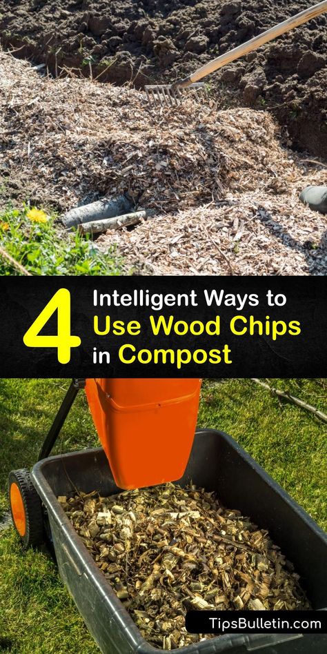 Garden projects or public works departments often use wood chip mulch - leftover wood mulch is perfect for the compost pile. Learn how to compost wood chips, and increase the nutrients that the resulting organic fertilizer offers to your garden soil. #how #compost #wood #chips Wood Chip Mulch, Homestead Lifestyle, How To Compost, Composting Methods, Garden Improvement, Covered Backyard, Garden Mulch, Compost Tumbler, Compost Pile