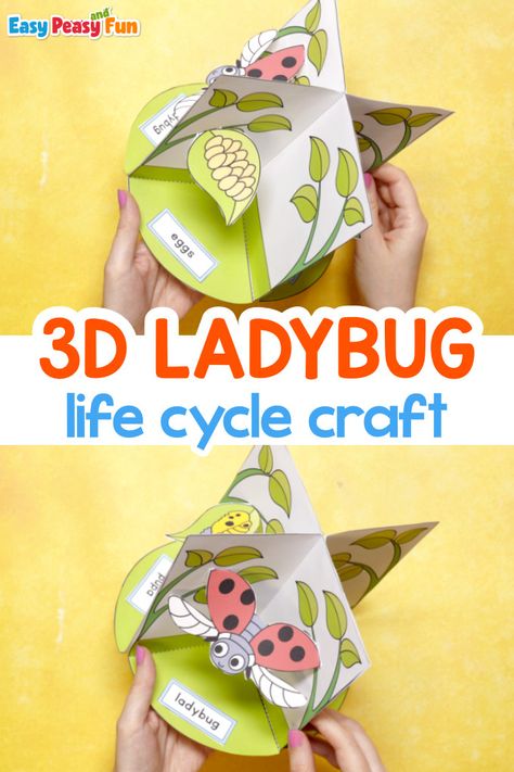 3D Ladybug Life Cycle Craft - Easy Peasy and Fun Ladybug Life Cycle Craft, Ladybug Life Cycle Activities, Pumpkin Life Cycle Craft, Frog Life Cycle Craft, Butterfly Life Cycle Craft, Ladybug Life Cycle, Life Cycle Craft, Pumpkin Life Cycle, Life Cycles Activities